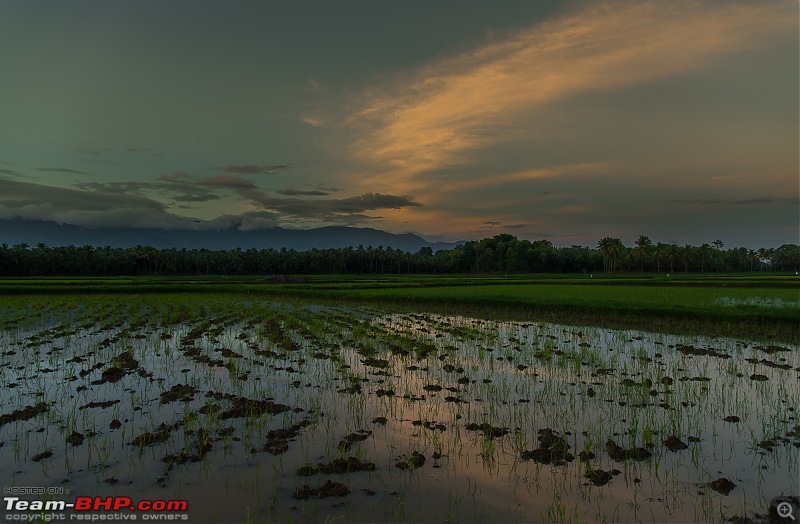 Munnar: Fresh air, Green hills and some birds-_dsc50544.jpg