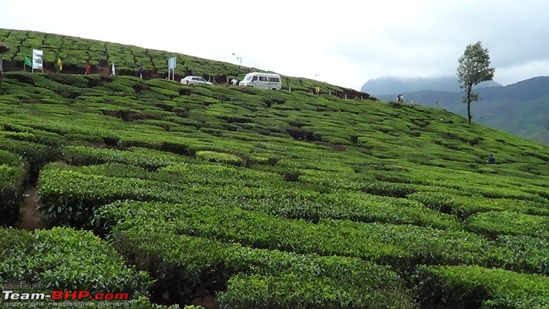 Bangalore to Munnar - Clockwise-gap-gap-2.jpg