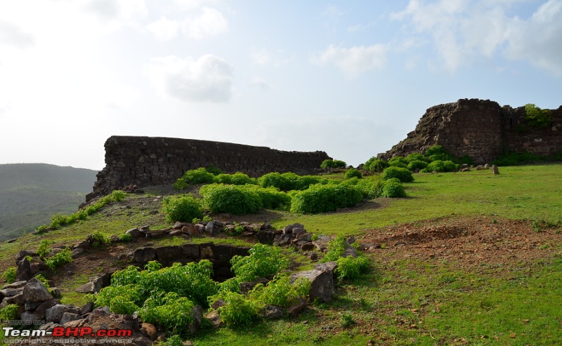 Magnificent Maharashtra - The Mahalog!-raj_7252.jpg