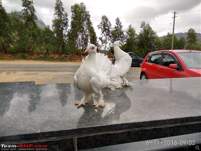Nandi Hills - Short & Exciting trip from Bangalore-img_20160611_090207_hdr.jpg