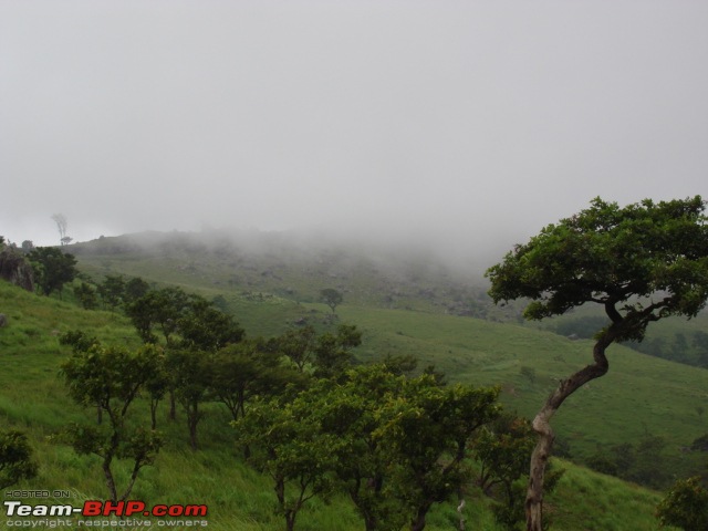 A Day Trip To Gopalswamy Betta-dsc04604.jpg