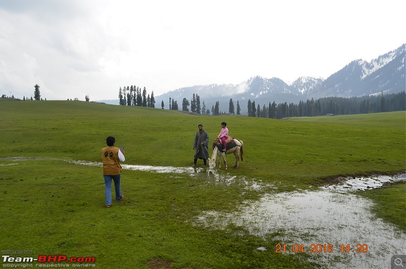 Kashmir: A Trip to Jannat-_dsc0460.jpg