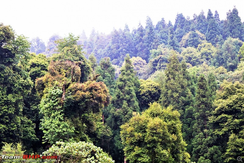 Exploring West Sikkim with a Baby-img_1052.jpg