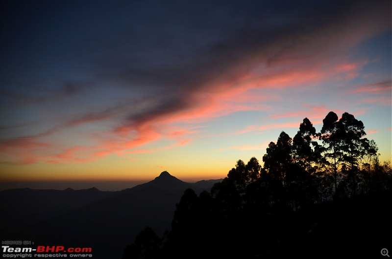 Exploring the Western Ghats in Kerala & Tamil Nadu-dsc_5659.jpg