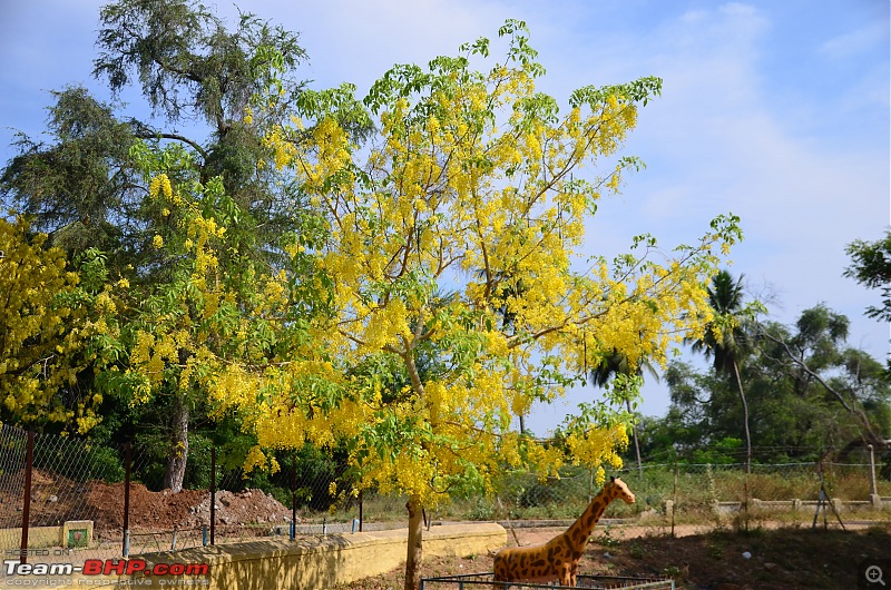 Exploring the Western Ghats in Kerala & Tamil Nadu-dsc_5694.jpg