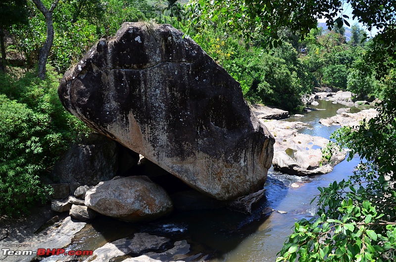 Exploring the Western Ghats in Kerala & Tamil Nadu-dsc_6002.jpg