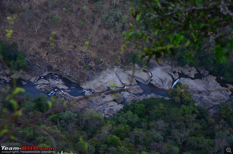 Exploring the Western Ghats in Kerala & Tamil Nadu-dsc_6085.jpg