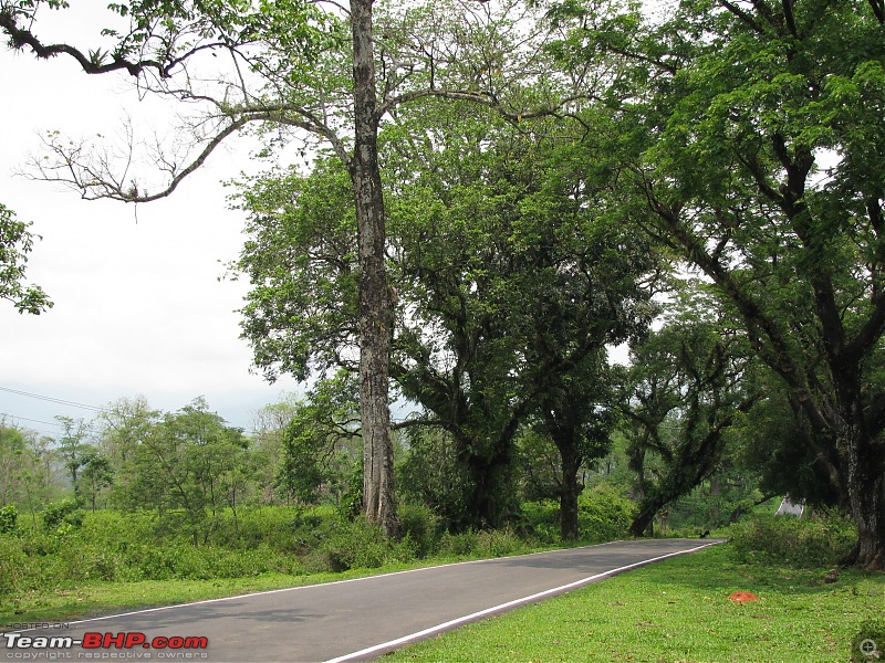 Paren - A li'l wonderland along the Indo-Bhutan border (West Bengal)-img_6156.jpg