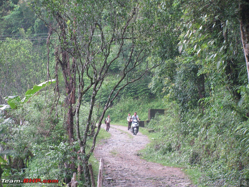 Paren - A li'l wonderland along the Indo-Bhutan border (West Bengal)-img_6355.jpg
