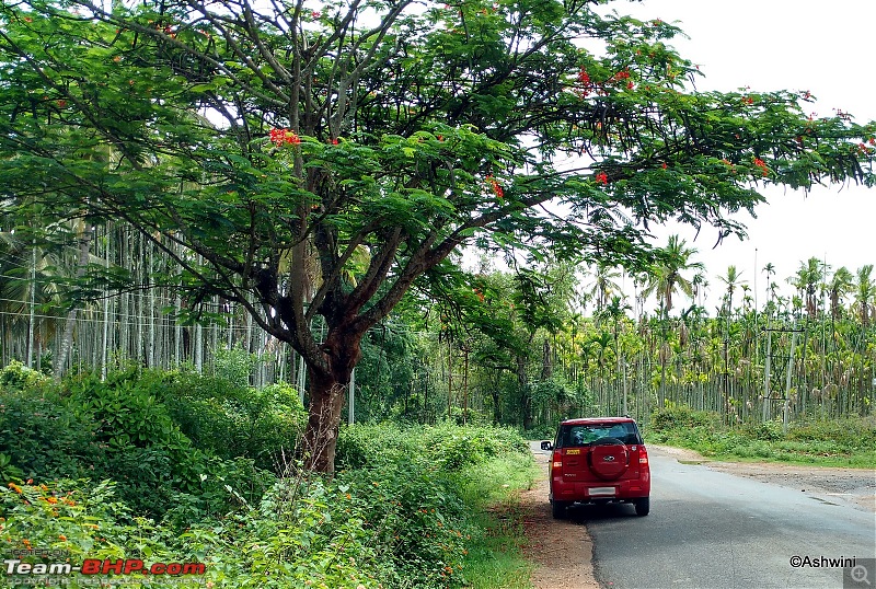 Red Dwarf's monsoon diary - Exploring new roads of rural Karnataka in a TUV300-m7.jpg