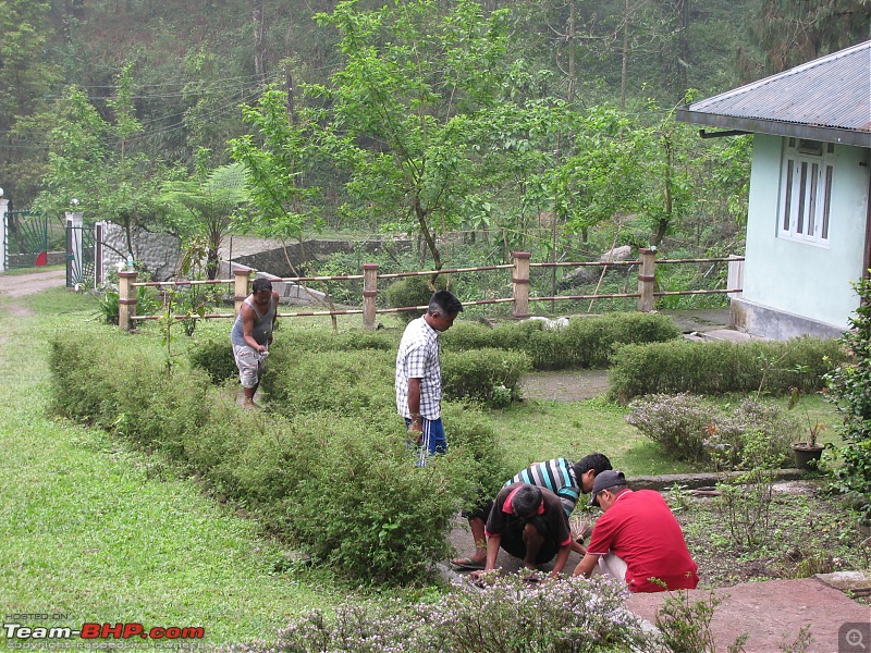 Paren - A li'l wonderland along the Indo-Bhutan border (West Bengal)-img_6494v2.jpg