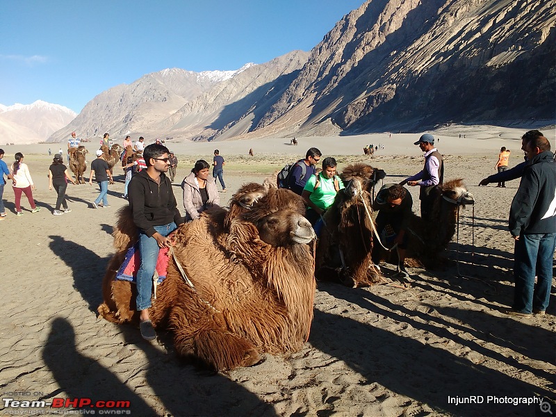 XUV500: Karwar/Goa to Leh Ladakh-117-camel-ride.jpg