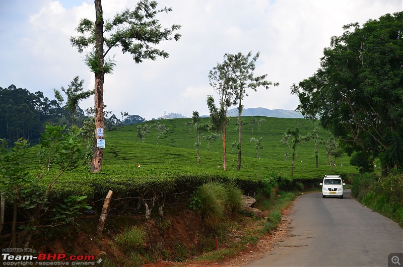 Exploring the Western Ghats in Kerala & Tamil Nadu-dsc_6736.jpg