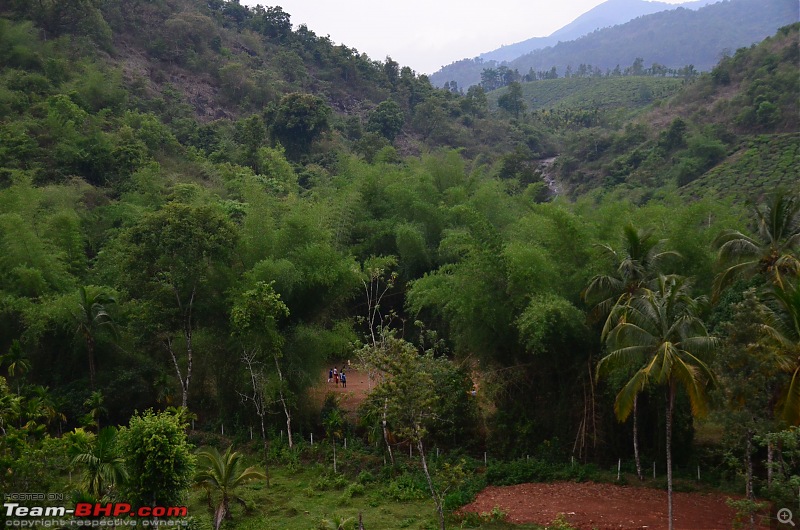 Exploring the Western Ghats in Kerala & Tamil Nadu-dsc_6753.jpg