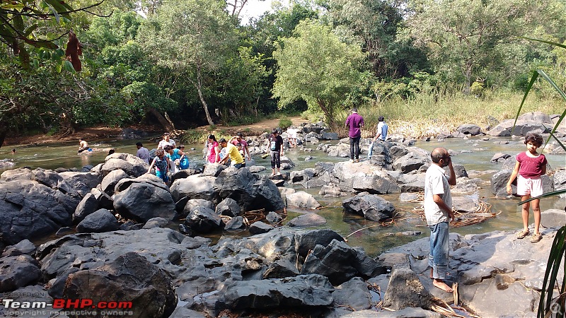 Exploring the Western Ghats in Kerala & Tamil Nadu-img_20160520_145657975.jpg