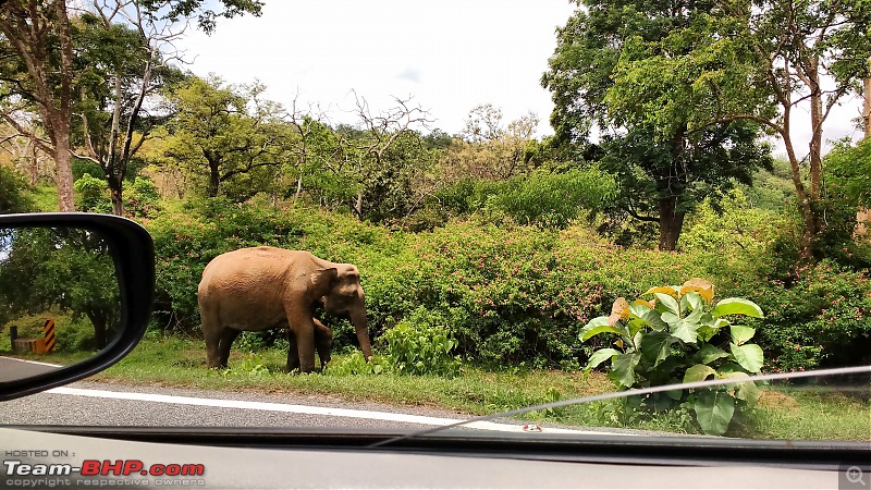 Exploring the Western Ghats in Kerala & Tamil Nadu-img_20160528_120649342.jpg