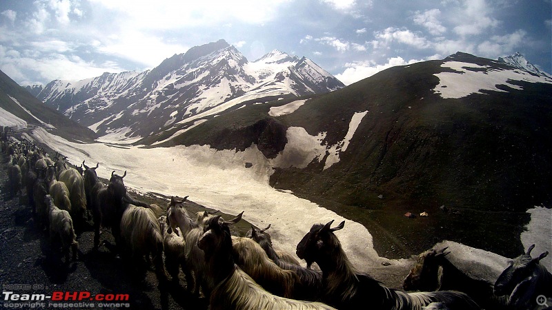 Chasing the Lama on a KTM 390 Duke: Pune to Ladakh, 6500+ km in 12 days-zozi-la-6.jpg