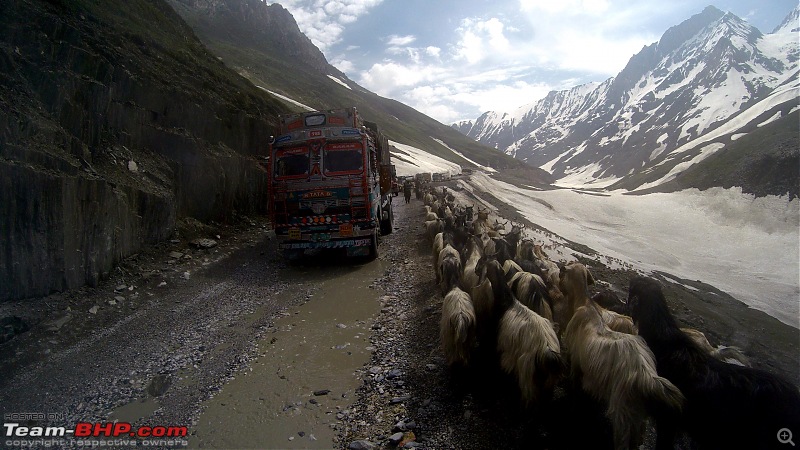 Chasing the Lama on a KTM 390 Duke: Pune to Ladakh, 6500+ km in 12 days-zozi-la-7.jpg