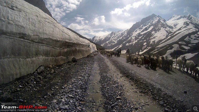 Chasing the Lama on a KTM 390 Duke: Pune to Ladakh, 6500+ km in 12 days-zozi-la-8.jpg