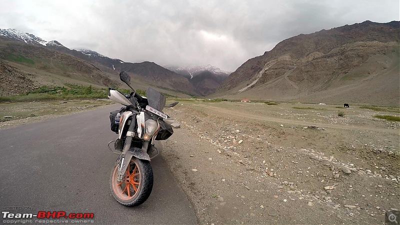Chasing the Lama on a KTM 390 Duke: Pune to Ladakh, 6500+ km in 12 days-suru-valley-15-copy.jpg