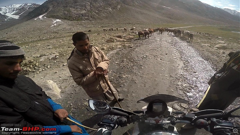 Chasing the Lama on a KTM 390 Duke: Pune to Ladakh, 6500+ km in 12 days-zanskar-13.jpg