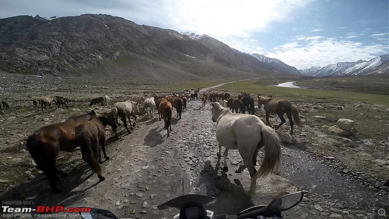 Chasing the Lama on a KTM 390 Duke: Pune to Ladakh, 6500+ km in 12 days-zanskar-14.jpg