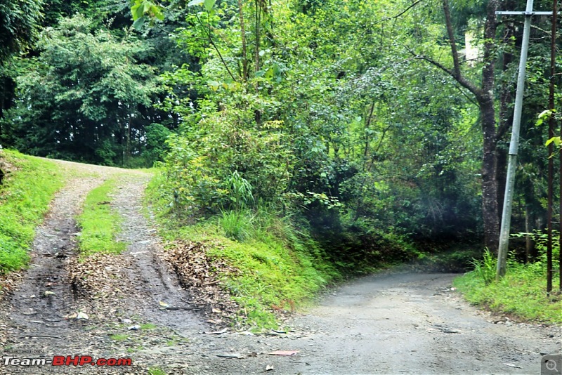 Exploring West Sikkim with a Baby-img_1383.jpg