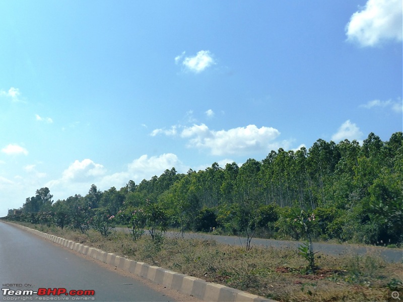Pun-toured: Tour De Pondy! Nagaram to Puducherry in a Fiat Punto-p1030466.jpg