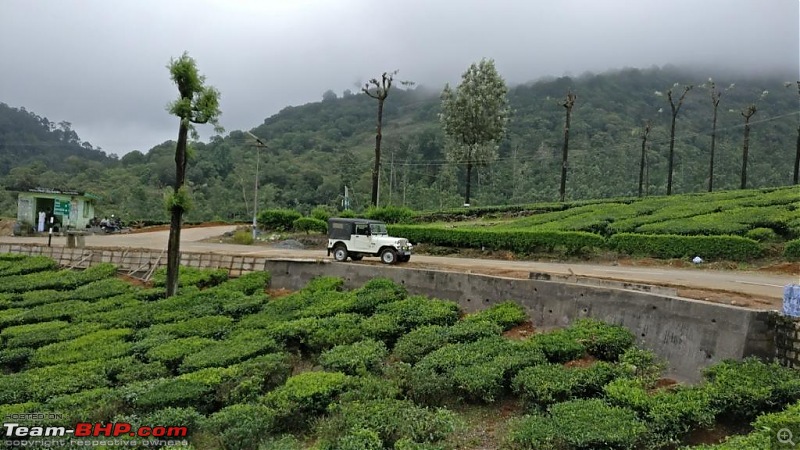 The perfect weekend getaway - Valparai in a Maruti Vitara Brezza-img_20160618_133056.jpg