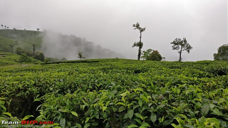 The perfect weekend getaway - Valparai in a Maruti Vitara Brezza-img_20160618_174215.jpg