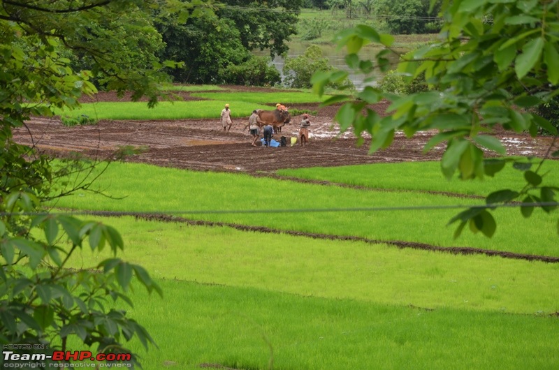 Kumbharli Ghat - A 1000 kms Monsoon Drive-dsc_0088.jpg