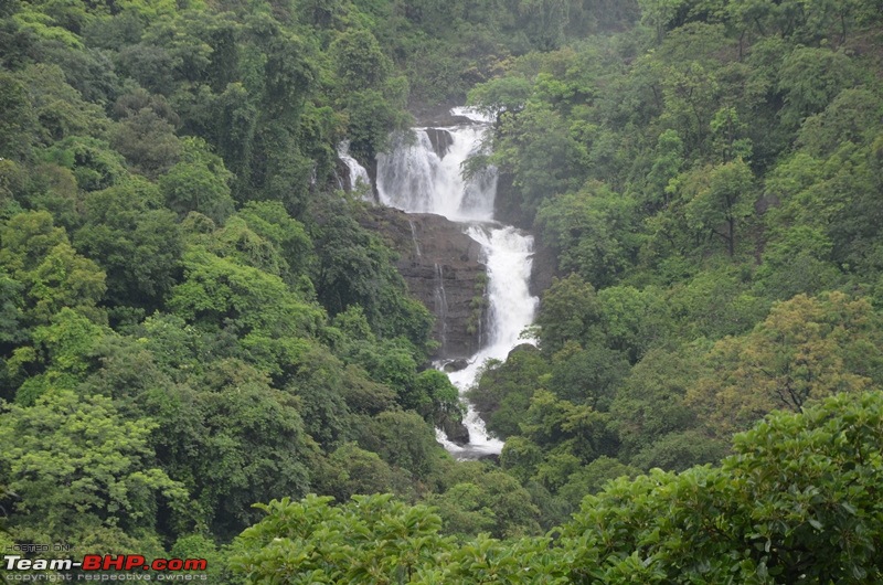 Kumbharli Ghat - A 1000 kms Monsoon Drive-dsc_0109.jpg