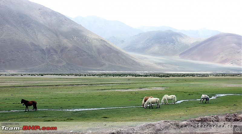 Chasing the Lama on a KTM 390 Duke: Pune to Ladakh, 6500+ km in 12 days-hanle-roadindus-river-1.jpg