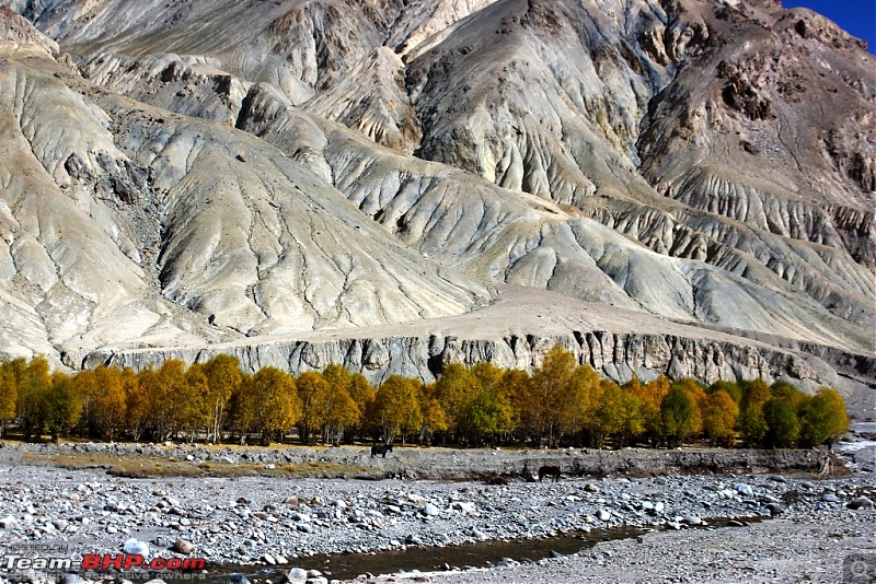 How I got Leh'd v1.1! Bangalore to Ladakh in an XUV500-ladakhaway1.jpg