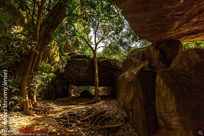 Yana: Medieval world in the forests of Uttara Kannada-mohini-sikhaar-41.jpg