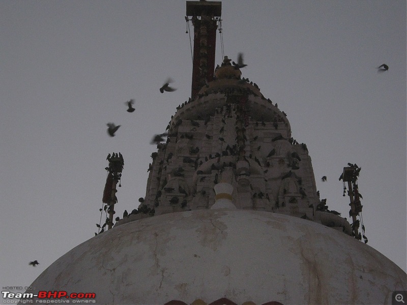 To the Golden City, Jaisalmer-img_3275.jpg