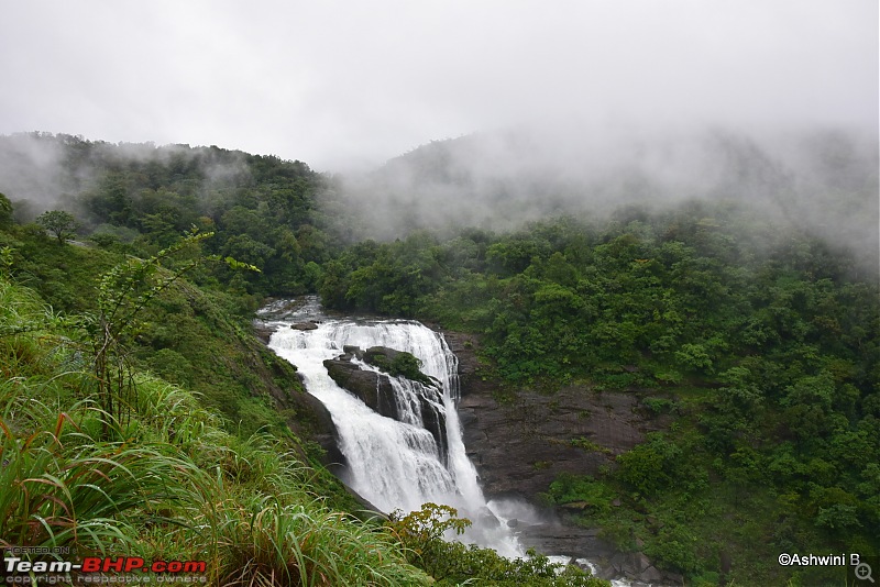 Red Dwarf's monsoon diary - Mesmerizing Mallalli Falls-f11.jpg