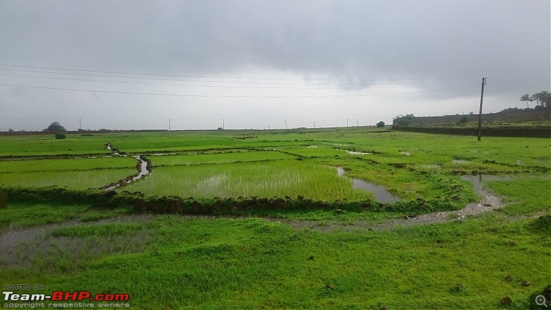 My monsoon solo: 2000 km & 7 days of wandering through Konkan, Goa and Western Karnataka-dsc_0475.jpg