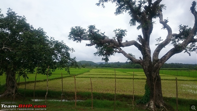 My monsoon solo: 2000 km & 7 days of wandering through Konkan, Goa and Western Karnataka-dsc_0173_2.jpg