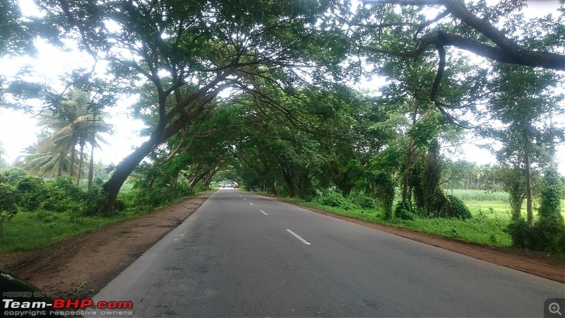 My monsoon solo: 2000 km & 7 days of wandering through Konkan, Goa and Western Karnataka-dsc_0207_3.jpg
