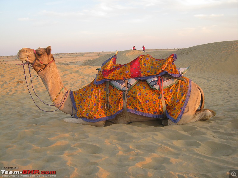 To the Golden City, Jaisalmer-img_3820.jpg