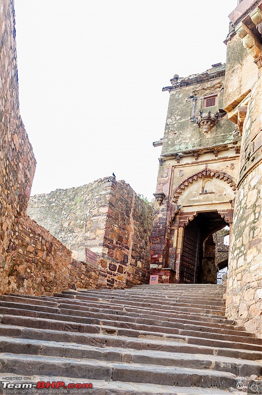 The Gods have been kind: Ranthambore National Park-way-up1.jpg