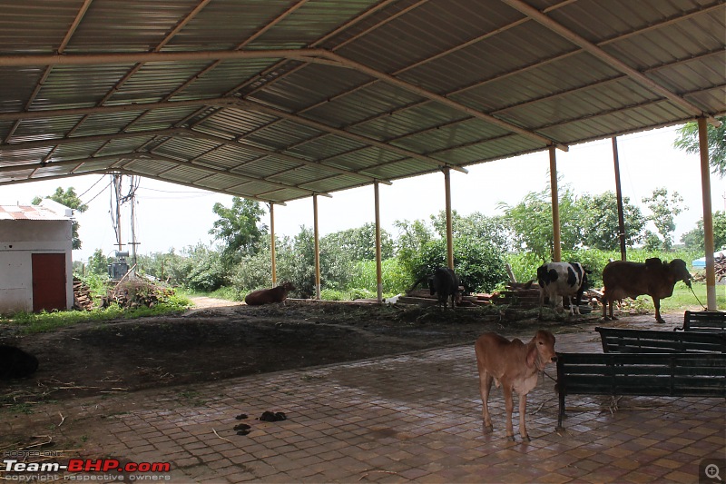 The Disappearing Shiva Temple-inside-ashram-2.jpg