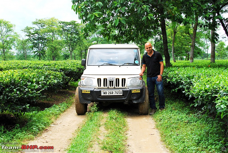 Monsoon drive to Borong, South Sikkim-dsc_5765.jpg