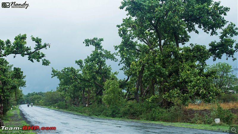 Rain, Fog & Greenery  A Maharashtrian Monsoon Tale!-dsc_3939.jpg