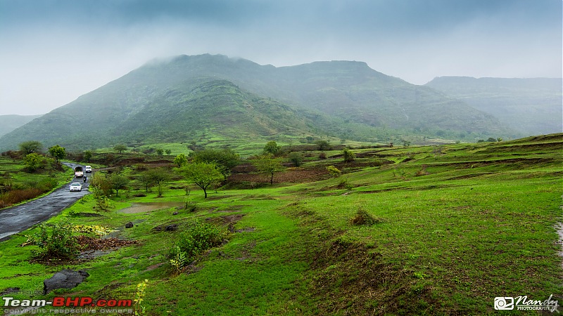 Rain, Fog & Greenery  A Maharashtrian Monsoon Tale!-dsc_4902.jpg