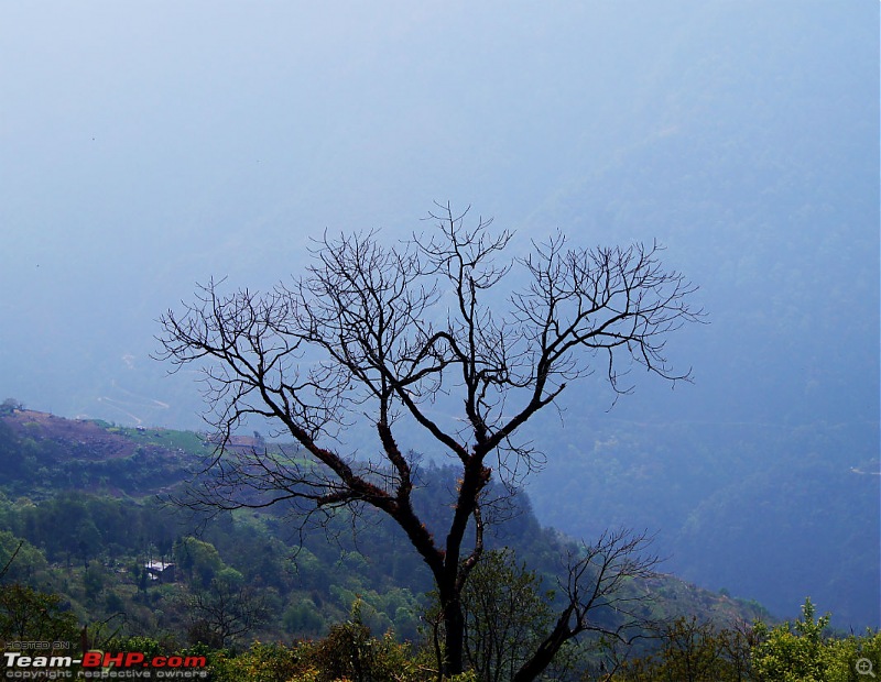 Reliving history at the Kameng Frontier - Trip to Tawang and Bum La Pass-dsc04484.jpg