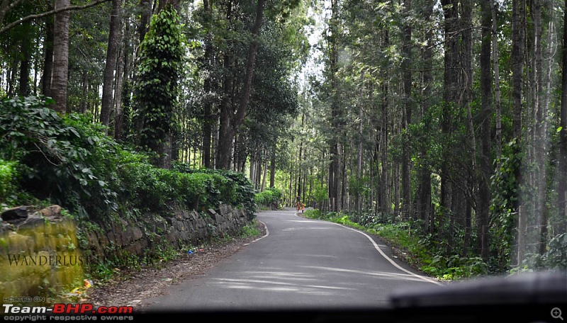 Wanderlust Traveler: Bangalore to Yercaud-suh_5964.jpg