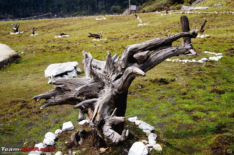 Reliving history at the Kameng Frontier - Trip to Tawang and Bum La Pass-dsc04770.jpg