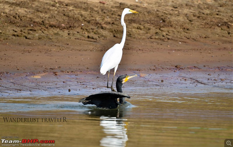 Wanderlust Traveler: Jungle lodges @ Kabini and Nagarahole National Park-suh_5528.jpg